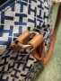Оригинална чанта Tommy Hilfiger, снимка 3