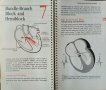 Pocket Guide to Electrocardiography. Revised Edition. Mary Boudreau Conover 1986 г. 367 illustration, снимка 2