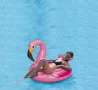 Надуваемо фламинго, 115х115см, снимка 5