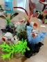 Дъно за аквариум , снимка 9