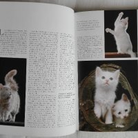 Котешки луксозни албуми, снимка 5 - Други - 26550144