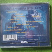 глем метъл Enuff z Nuff - Animals with human intelligence CD, снимка 7 - CD дискове - 43362311