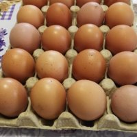 Домашни яѝца от кокошки, снимка 1 - Домашни продукти - 43924744
