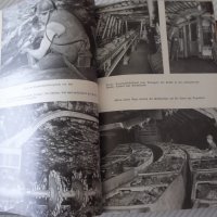 Книга "KLEINE ENZYKLOPÄDIE - Technik - Колектив" - 944 стр., снимка 6 - Енциклопедии, справочници - 38221832