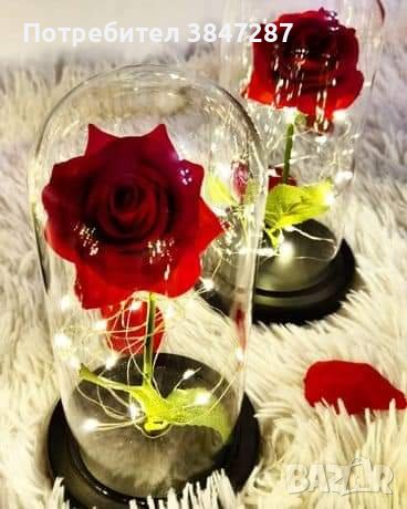 Вечна роза в стъкленица с LED светлина , снимка 1