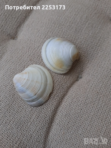 Бели миди за декор лот, снимка 1