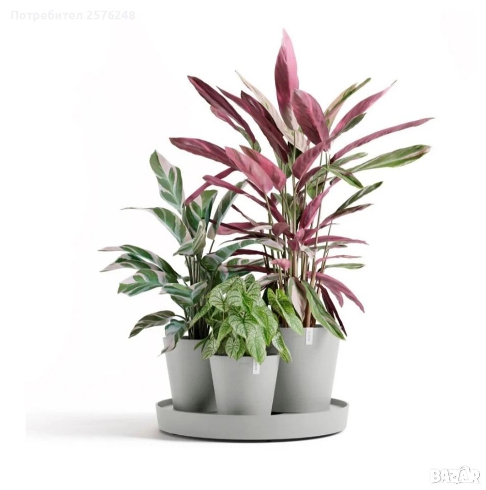 Самополивни саксии Dubai ecopots, снимка 1