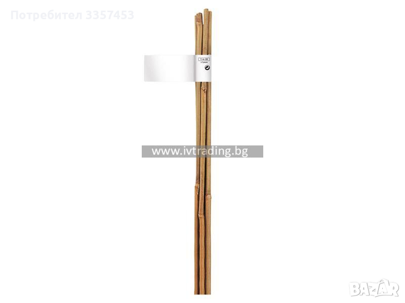 Бамбуков кол, снимка 1