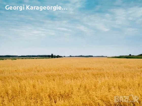 Продава 26 декара Земеделска Земя 3 та категория, снимка 1