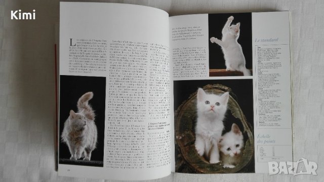 Котешки луксозни албуми, снимка 5 - Други - 26550144