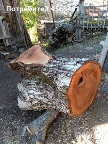 Продавам дървен материал ОРЕХ , снимка 6 - Други - 51354034