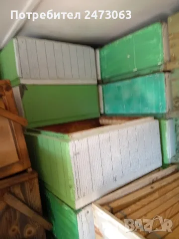 пчели, снимка 5 - За пчели - 48371094