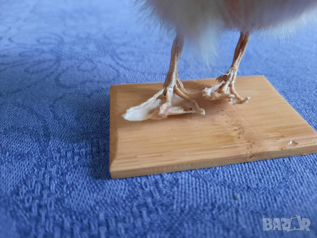 Сувенир патенце, снимка 8 - Декорация за дома - 44877757