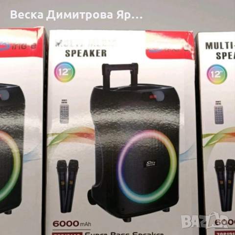 Преносима караоке тонколона Sing-e ZQS12148 (12") с мощен бас, снимка 5 - Тонколони - 52671381