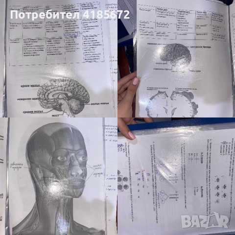 Материали по химия и биология за кандидат-студенти, снимка 5 - Учебници, учебни тетрадки - 52507387