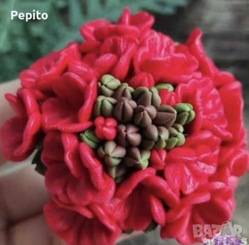 Нови молдове цветя, снимка 3 - Други - 52337636