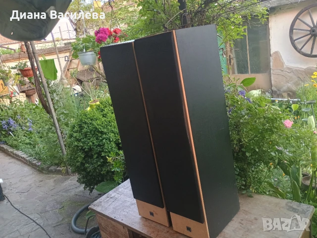 Dali 606 , снимка 11 - Тонколони - 50570126