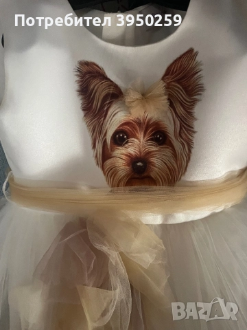 Бутикови дрехи за принцеси