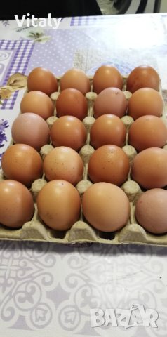 Домашни яѝца от кокошки, снимка 1 - Домашни продукти - 43924744