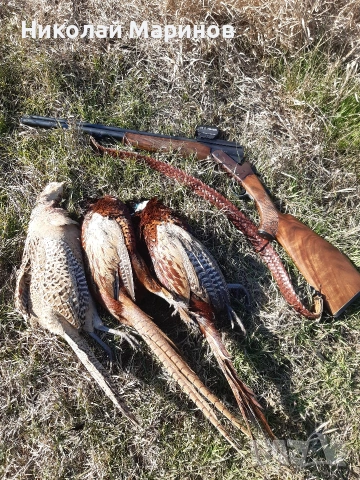 ловна комбинация 22wmr 20/76, снимка 3 - Ловно оръжие - 53237453