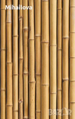 3D Стикер бамбук 