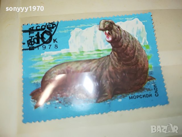 МАРКА 10 1978 СССР МОРСКОЙ СЛОН 1303231548, снимка 4 - Филателия - 39984954