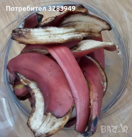 Домашен тор от БИО Банани, снимка 2 - Тор и почвени смеси - 48118036