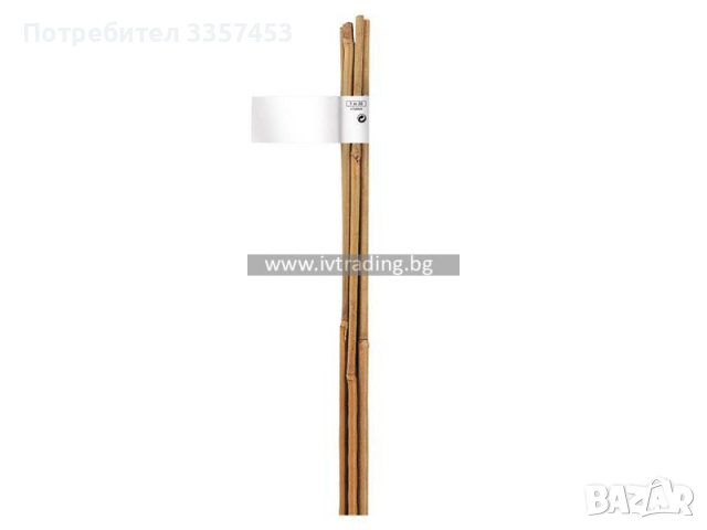 Бамбуков кол, снимка 1