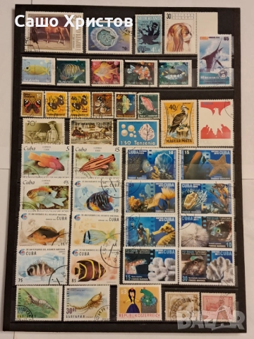 Пощенски марки тема ”Животни”., снимка 10 - Филателия - 52699226