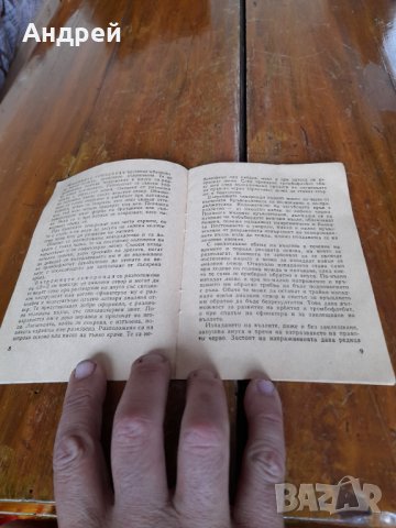 Стара книжка Лекарят съветва,Хемороиди, снимка 2 - Специализирана литература - 37931352