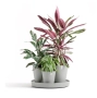Самополивни саксии Dubai ecopots, снимка 1