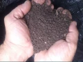 БиоТор - 20л-5лв, 50л-12лв (100% биохумус от Калифорнийски червеи. Тор, хумус, почва ), снимка 5