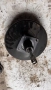 Серво усилвател / Спирачна помпа за Renault Master 2009 - 8200883918 / 906011/2, снимка 2