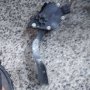 Педал газ за Toyota Yaris 1.0 i , 78110-52020 , снимка 2