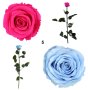 Естествени стабилизирани рози и цвят роза-за дома, подарък, декорация с мъх, снимка 4