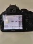Nikon D3100 с китов обектив , снимка 6