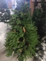 елхи , снимка 11