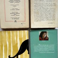 Романи на френски език, снимка 2 - Художествена литература - 44116031