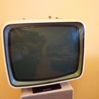 SABA  PRO FP31 Телевизор 1972г, снимка 2 - Телевизори - 27755936