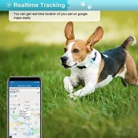 Winnes TK911 Pro GPS Tracker Нашийник за кучета 4G без абонамент Anti-Loss GPS, снимка 5 - За кучета - 43930513