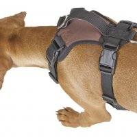 Мек и удобен за Кучета нагръдник в 3 размера , снимка 6 - За кучета - 26489855