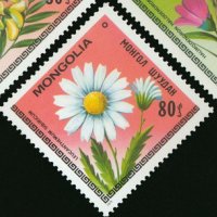  Сет 7 марки Цветята на Монголия,Монголия, 1979, ново, минт, снимка 7 - Филателия - 27982678