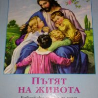 Мариан Скуланд - Пътят на живота. Библейски уроци за деца, снимка 1 - Детски книжки - 21970663