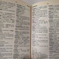 Речници на английски, испански и немски език, снимка 9 - Чуждоезиково обучение, речници - 40643794