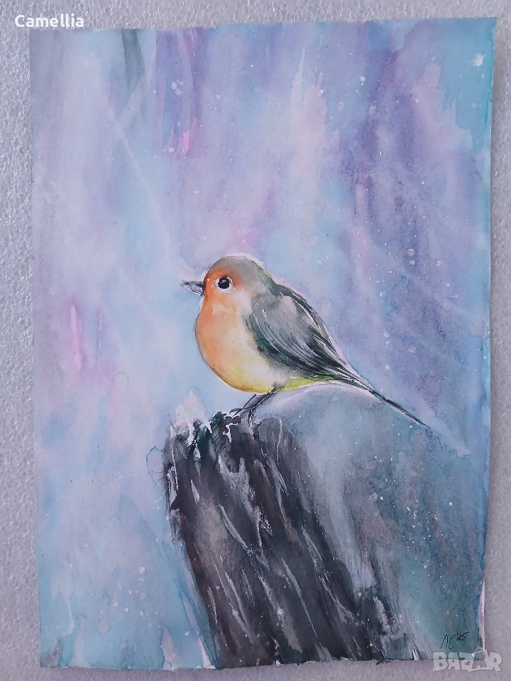 Картина: "Птиче" акварел , снимка 1