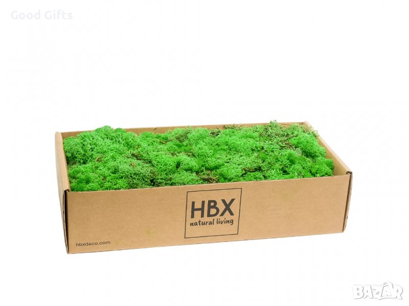 Скандинавски Мъх 500гр, Зелен, снимка 1