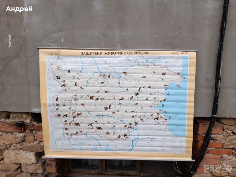 Стара учебна карта Защитени животински видове, снимка 1