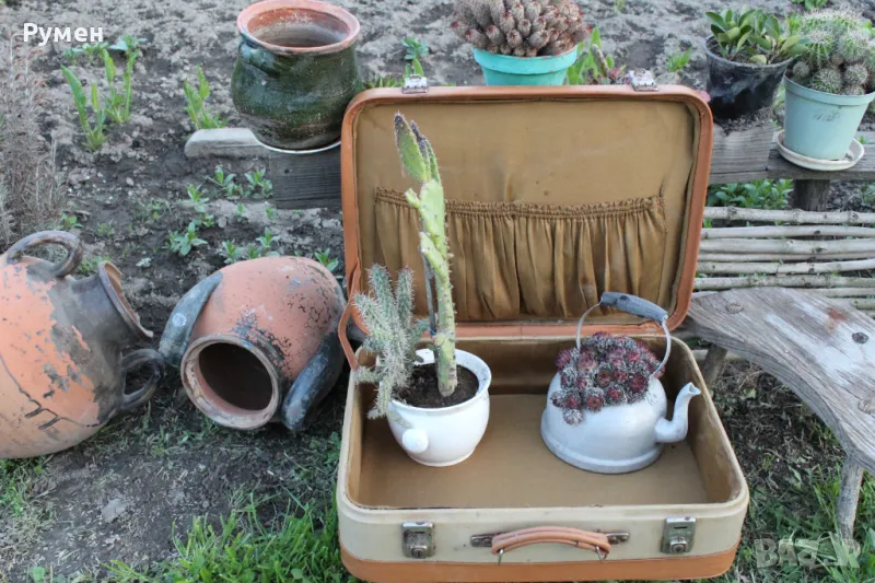 Куфар , снимка 1