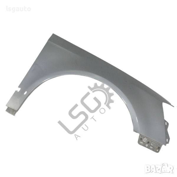 Десен калник Volkswagen Passat (B6) 2005-2010 ID:150029, снимка 1