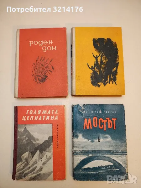 Голямата цепнатина - Роже Фризон-Рош, снимка 1